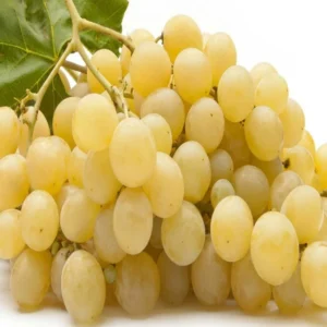 İNCE ÜZÜM 1 KG